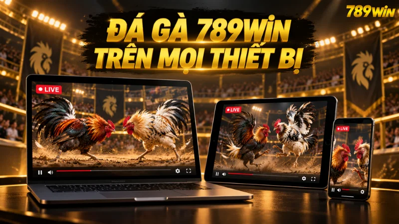 Minh họa nội dung Đá Gà 789WIN trên thiết bị di động